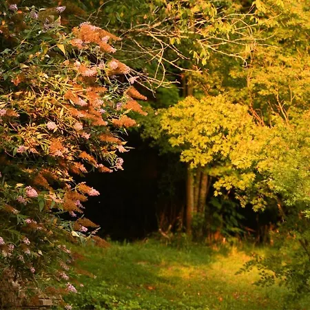 فيلة Domaine Argia *
