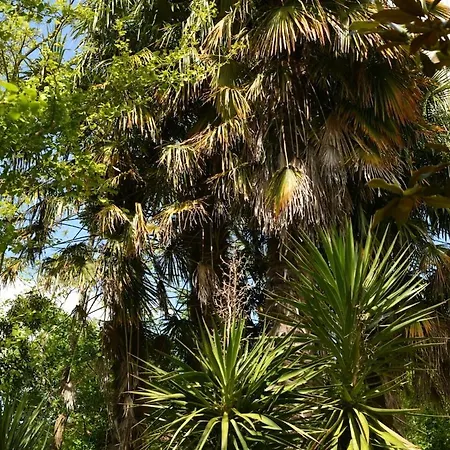 فيلة Domaine Argia